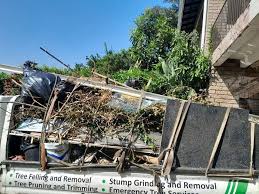 Best Office Cleanout  in Bacliff, TX